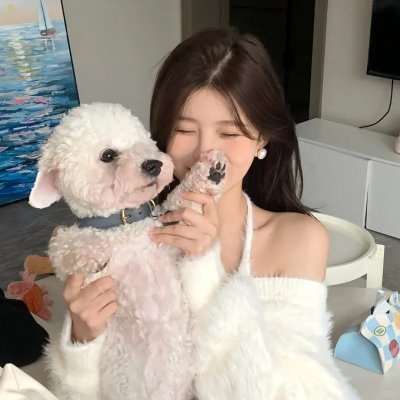 暴龙来袭